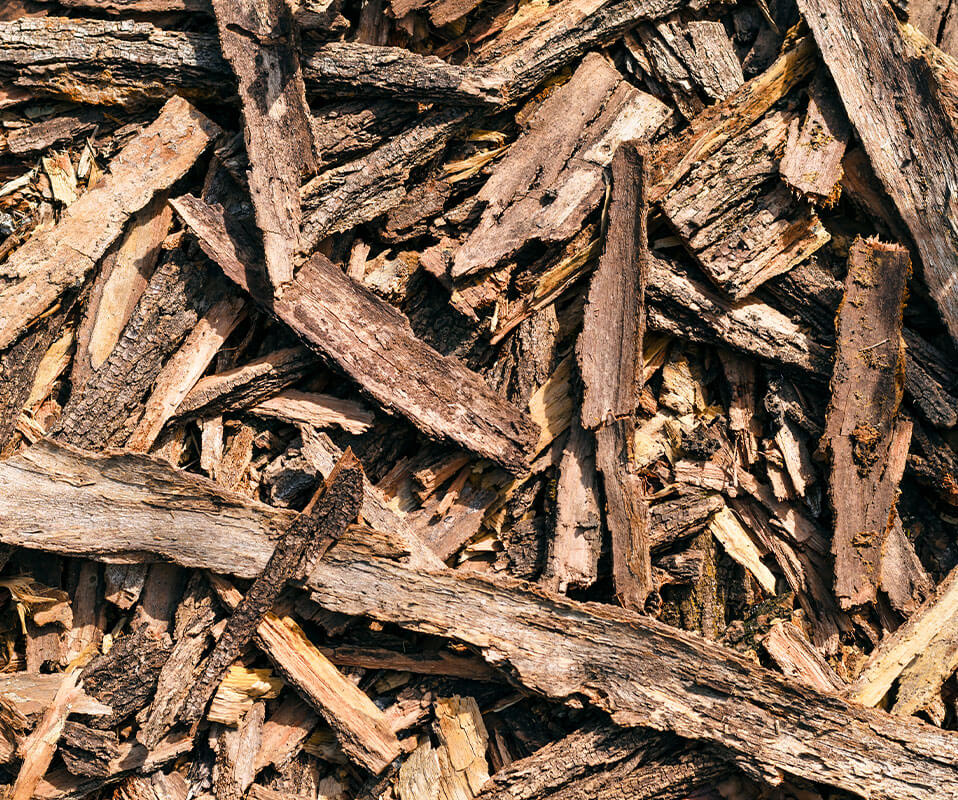 Forest waste and residues