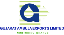 gujarat-amnuja-exports